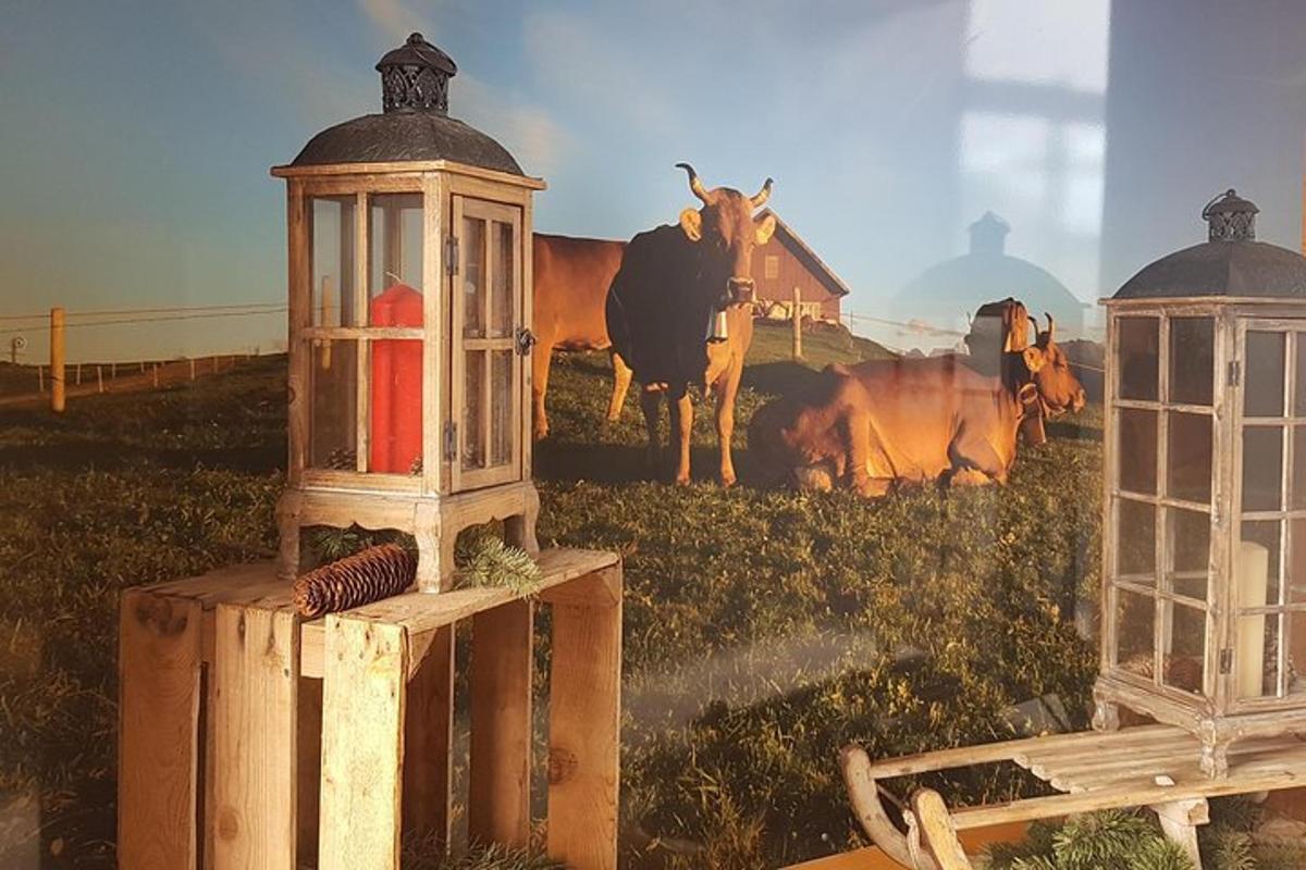 un paio di lanterne in un campo con le mucche