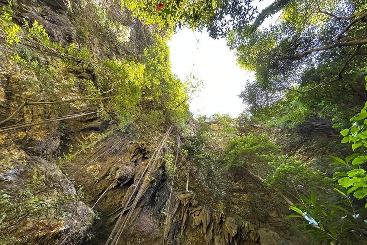 uma vista de uma montanha rochosa com árvores
