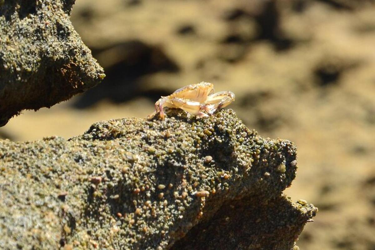 Lankytinos vietos ar pramogos nuotrauka numeris 2