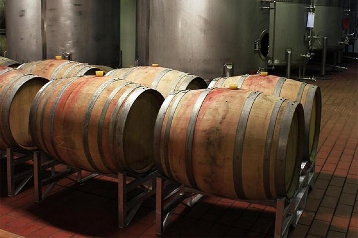 una fila di botti di vino in una cantina
