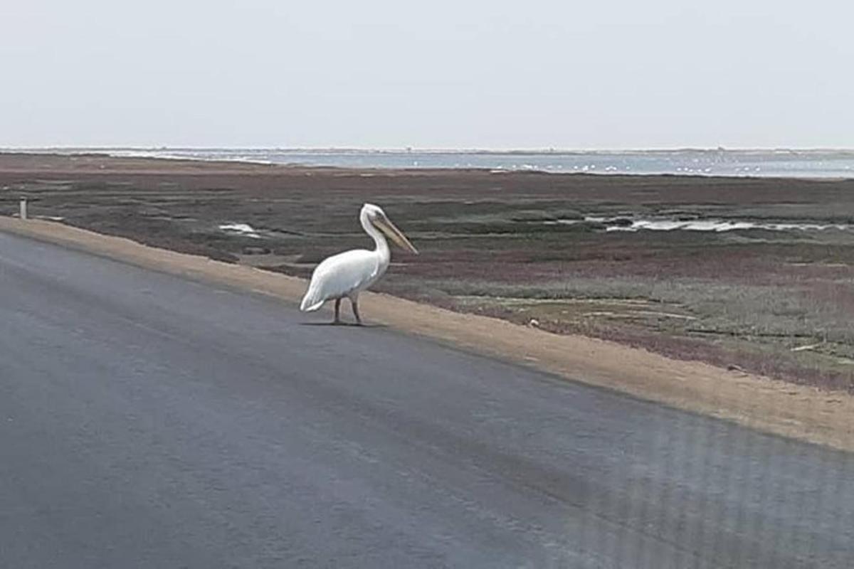 Lankytinos vietos ar pramogos nuotrauka numeris 7