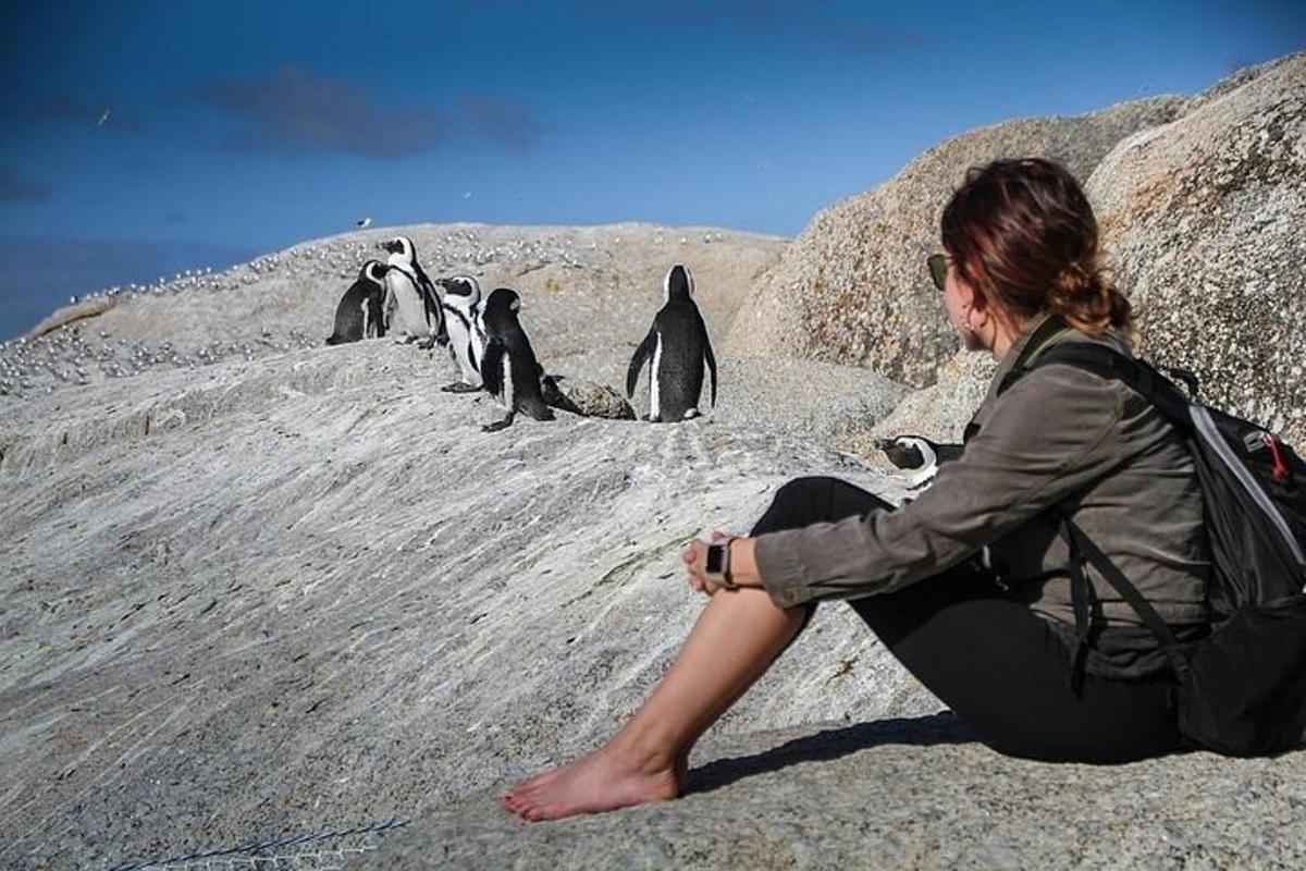 una donna seduta su una roccia con un gruppo di pinguini
