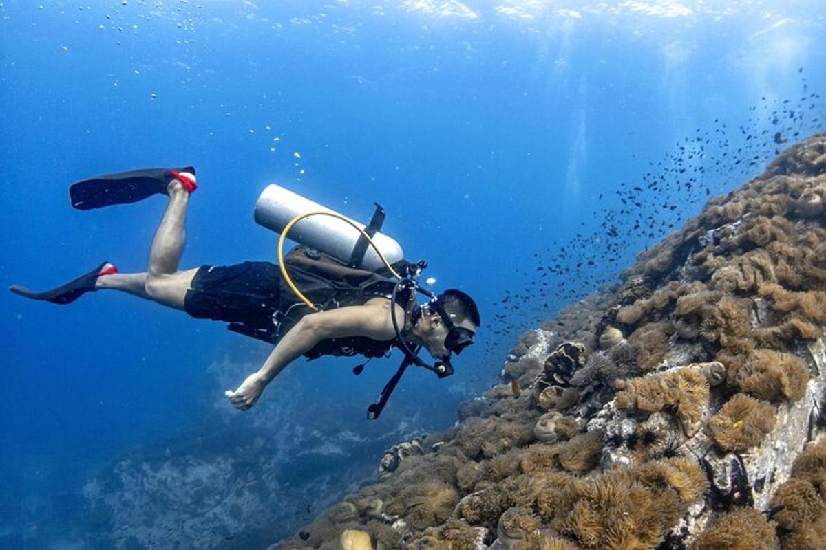 Lankytinos vietos ar pramogos nuotrauka numeris 1