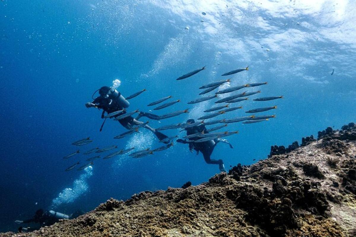 Lankytinos vietos ar pramogos nuotrauka numeris 2