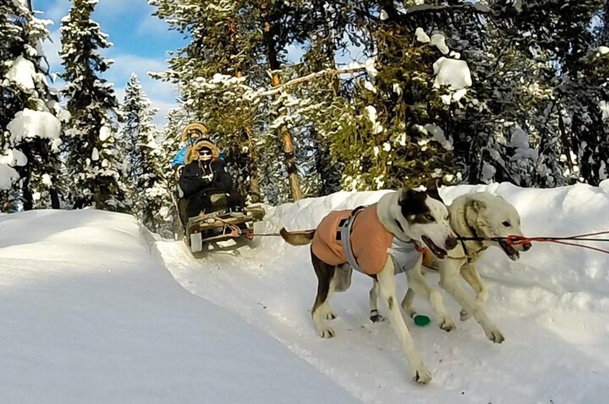 Lankytinos vietos ar pramogos nuotrauka numeris 2