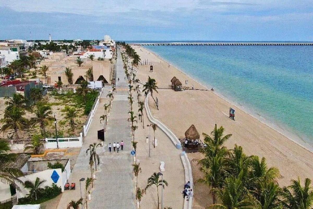 una vista di una spiaggia con palme e l'oceano