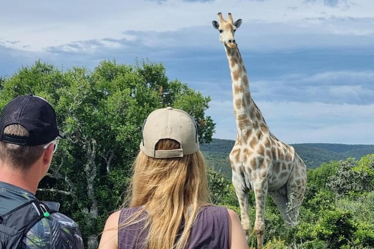 Turistik nokta fotoğrafı 1