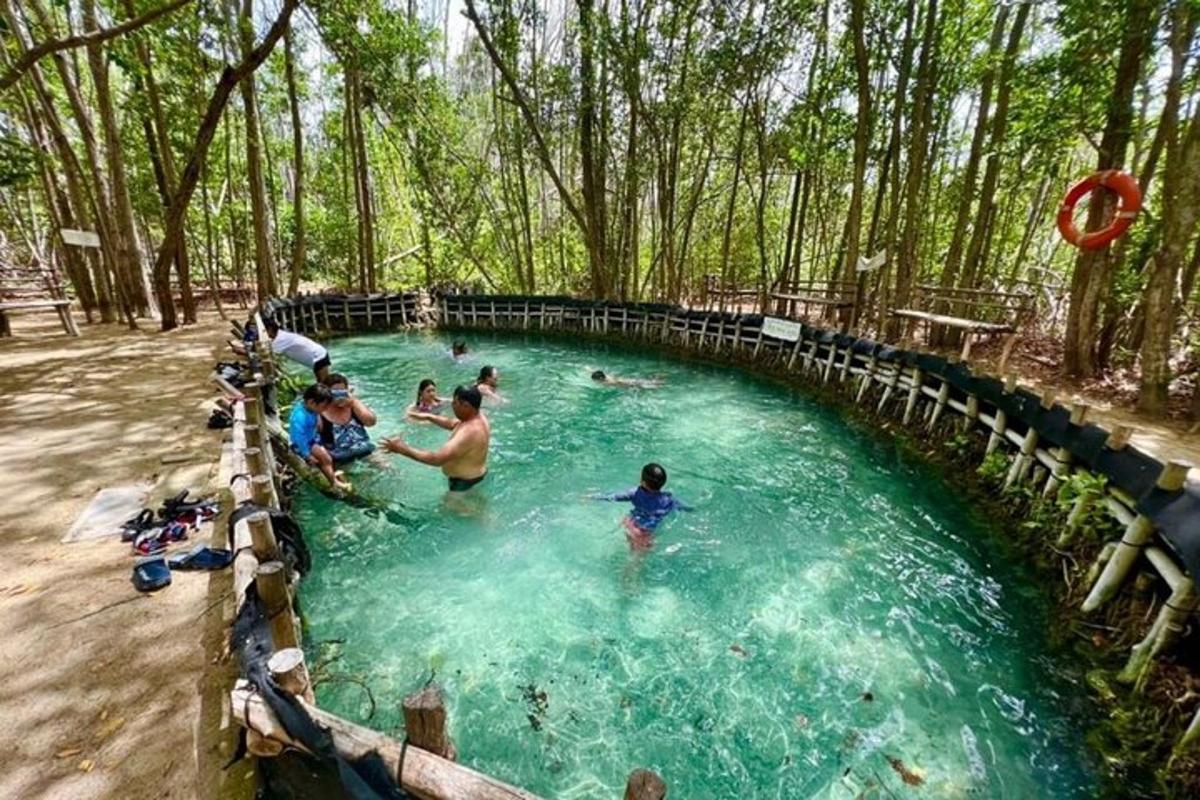 un gruppo di persone che nuotano in una piscina