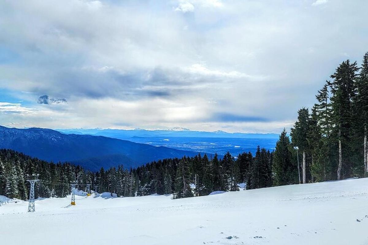 a snowy slope with trees and mountains in the background