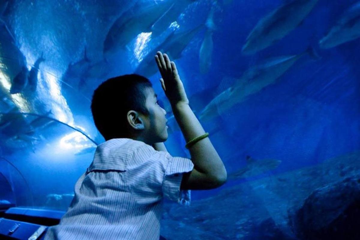 Attraction picture 1