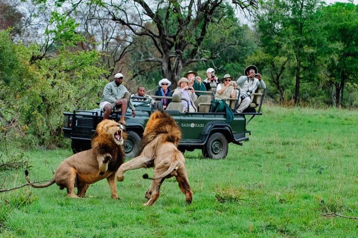 Un grupo de personas observando a dos perros jugando en un campo.