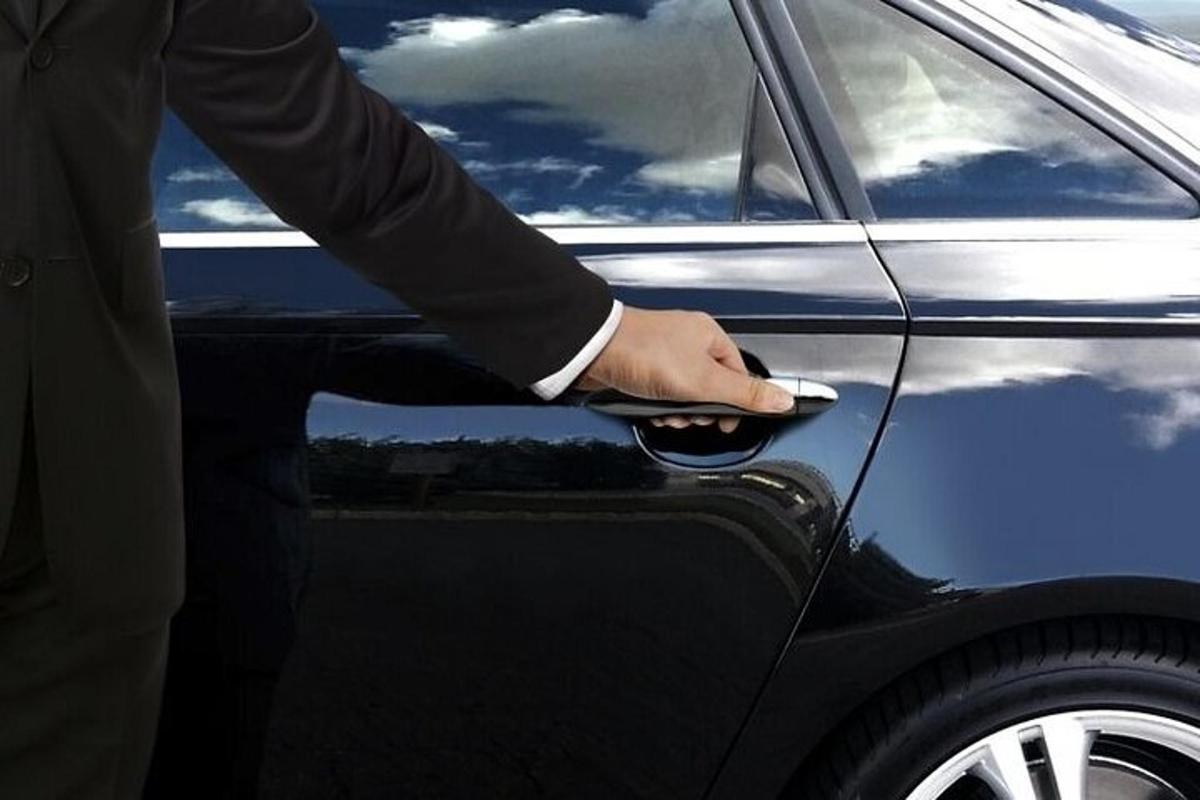 una persona sta aprendo la portiera di un'auto