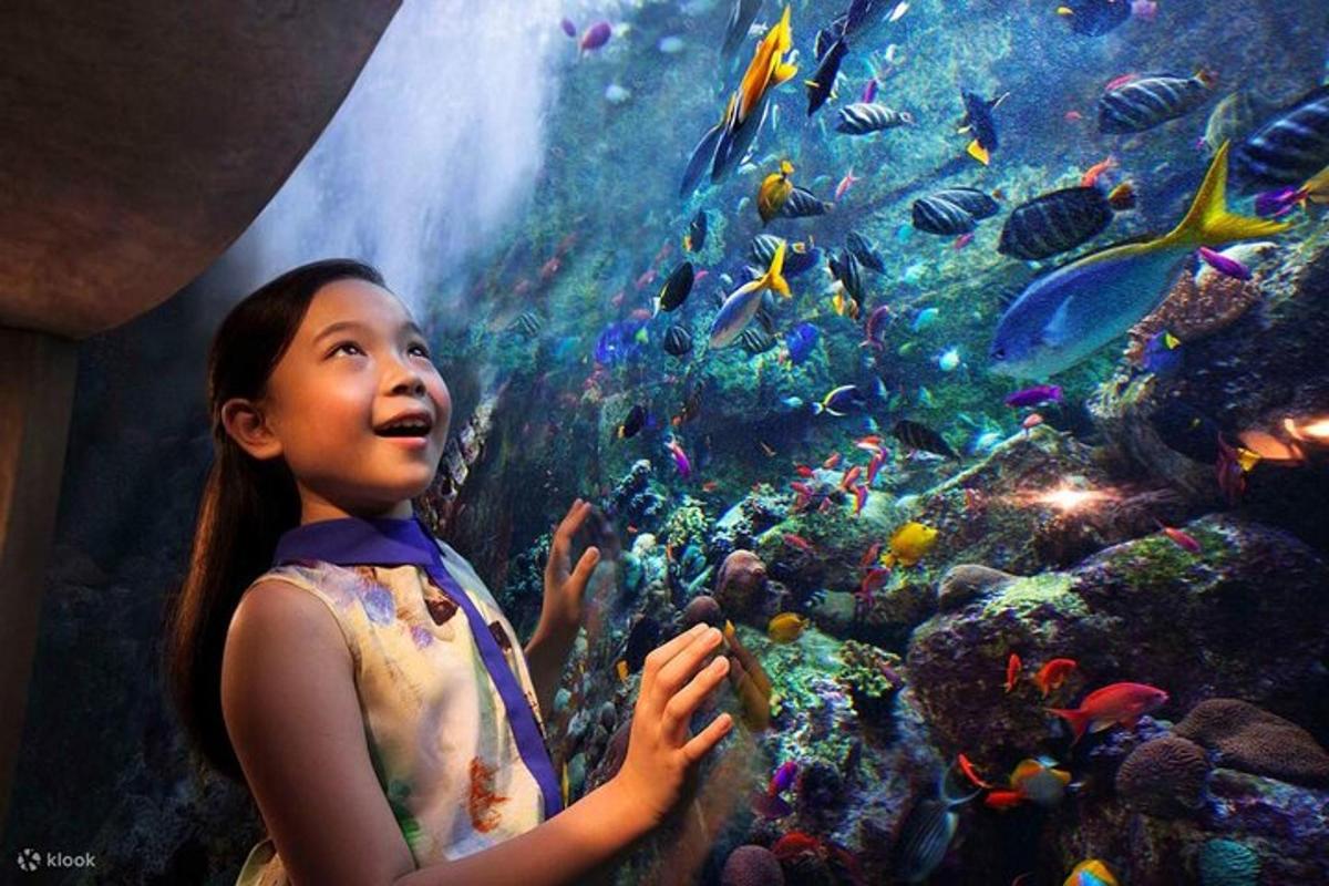 a little girl standing in front of a large aquarium