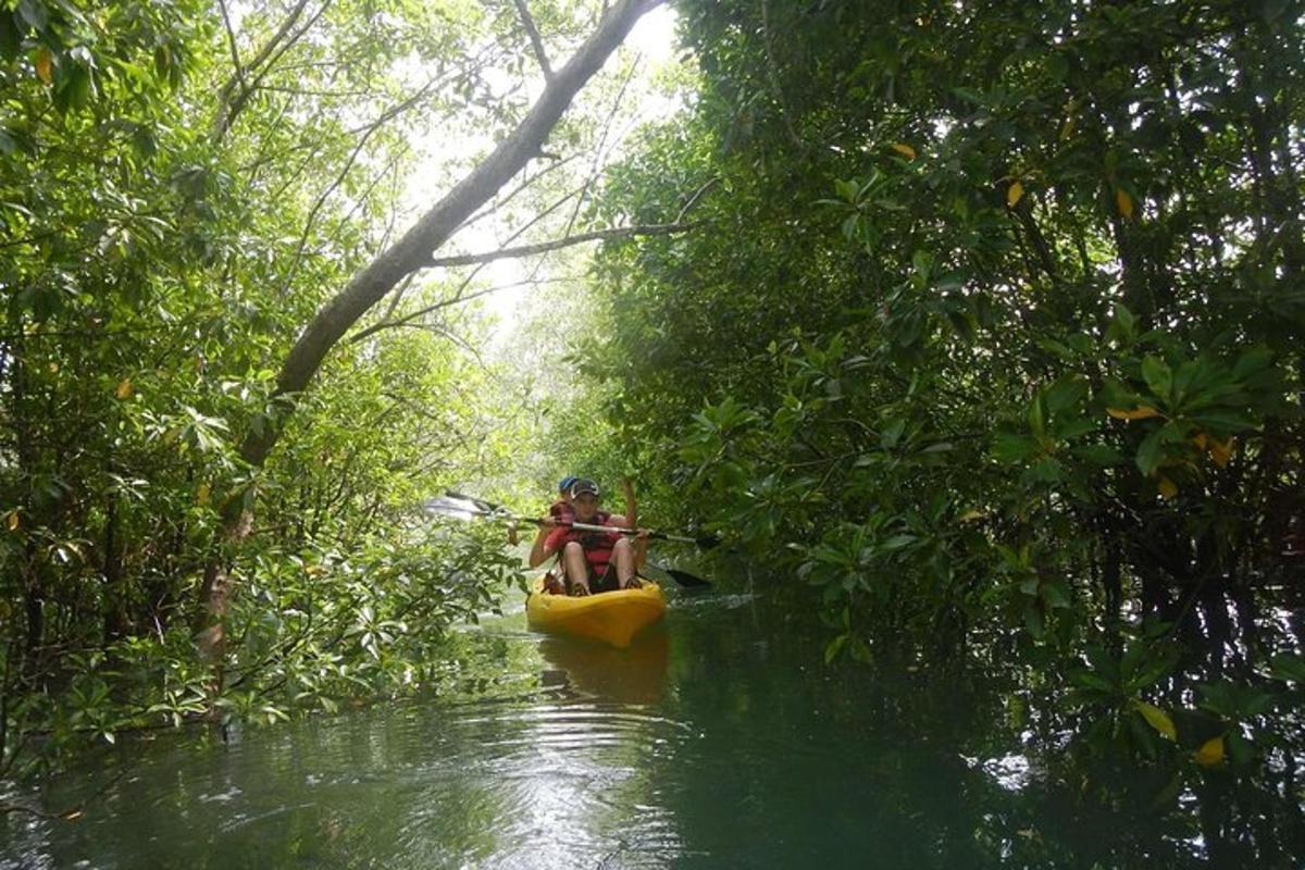 seseorang dalam kayak di sungai di dalam hutan