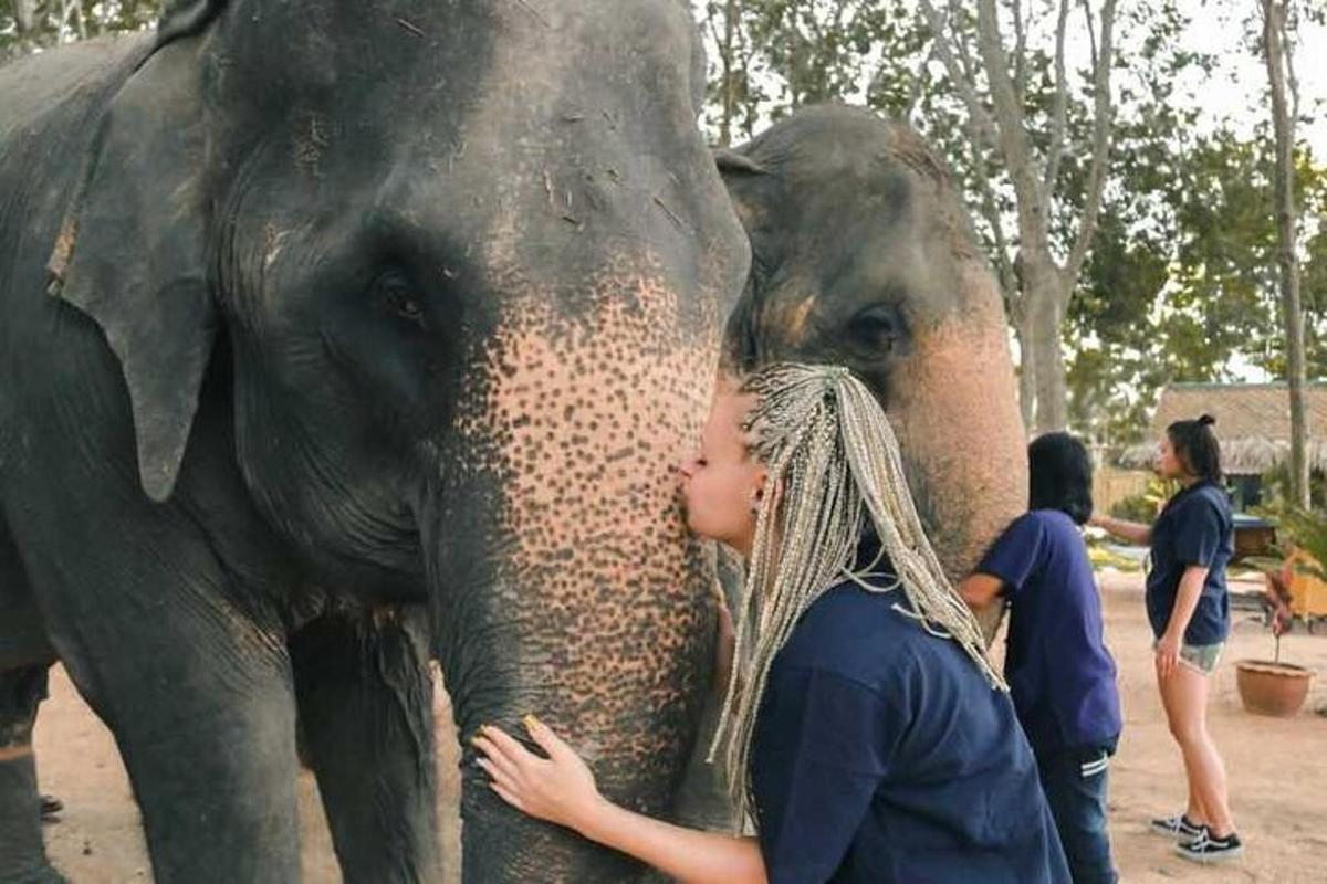 seorang wanita berdiri di sebelah gajah