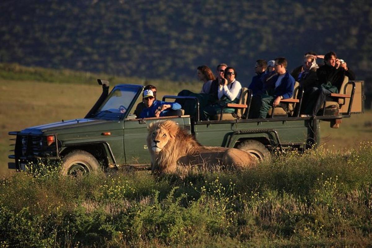 un groupe de personnes voyageant à l'arrière d'un camion avec un lion