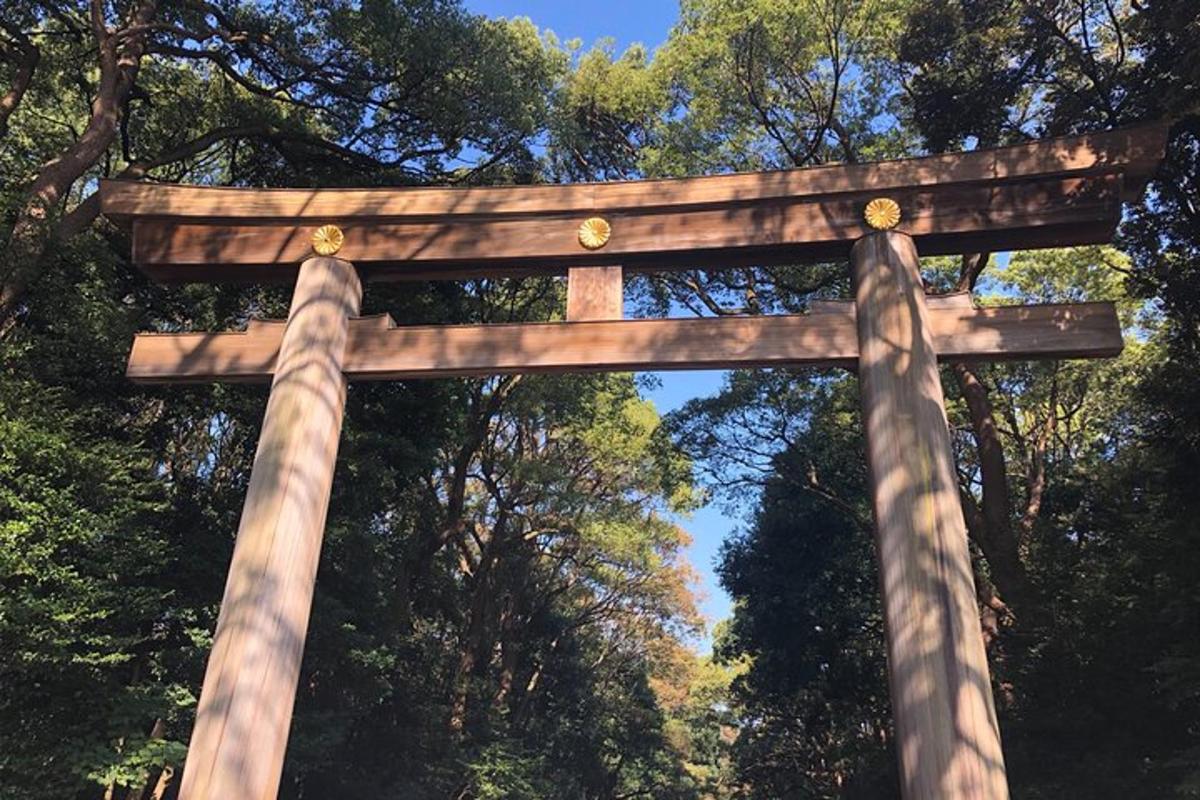 brána torii před několika stromy