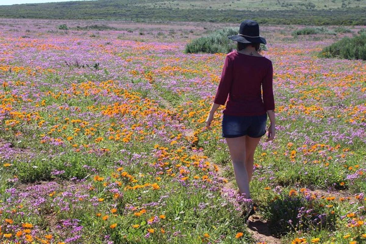 a woman walking through a field of flowers