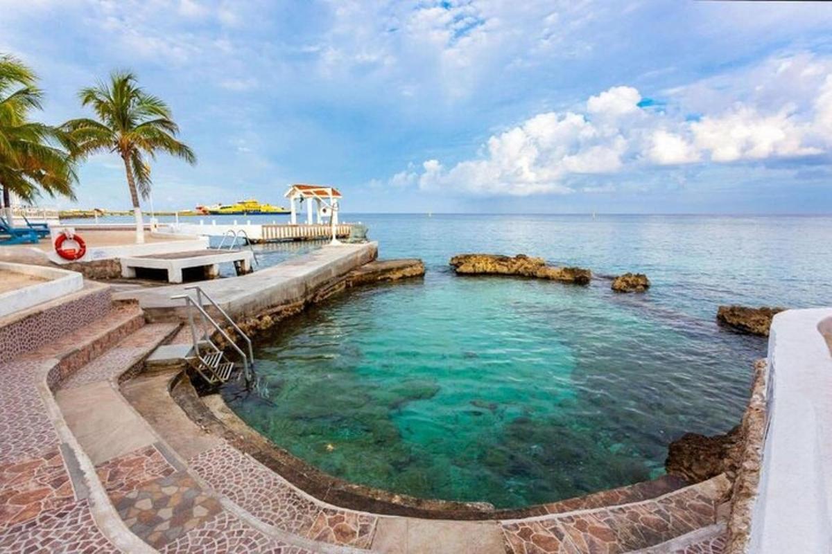 uma piscina perto do oceano com palmeiras