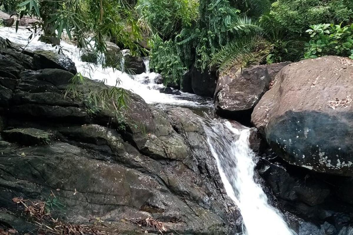 Fotografia da atração 2