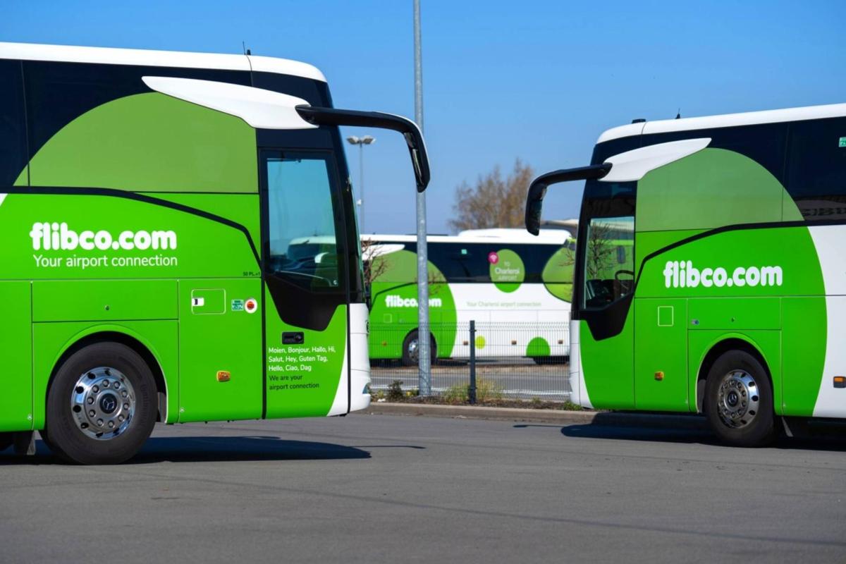 a group of green buses parked in a parking lot