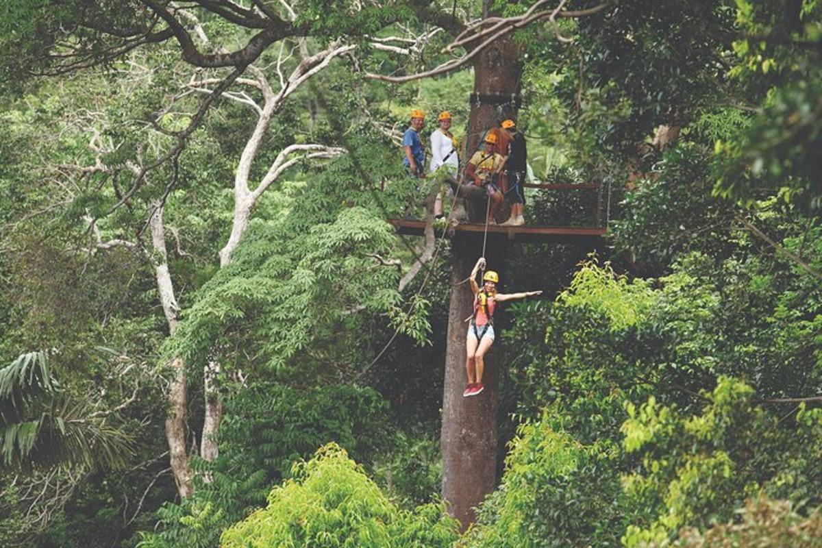 sekumpulan orang memanjat pokok di dalam hutan