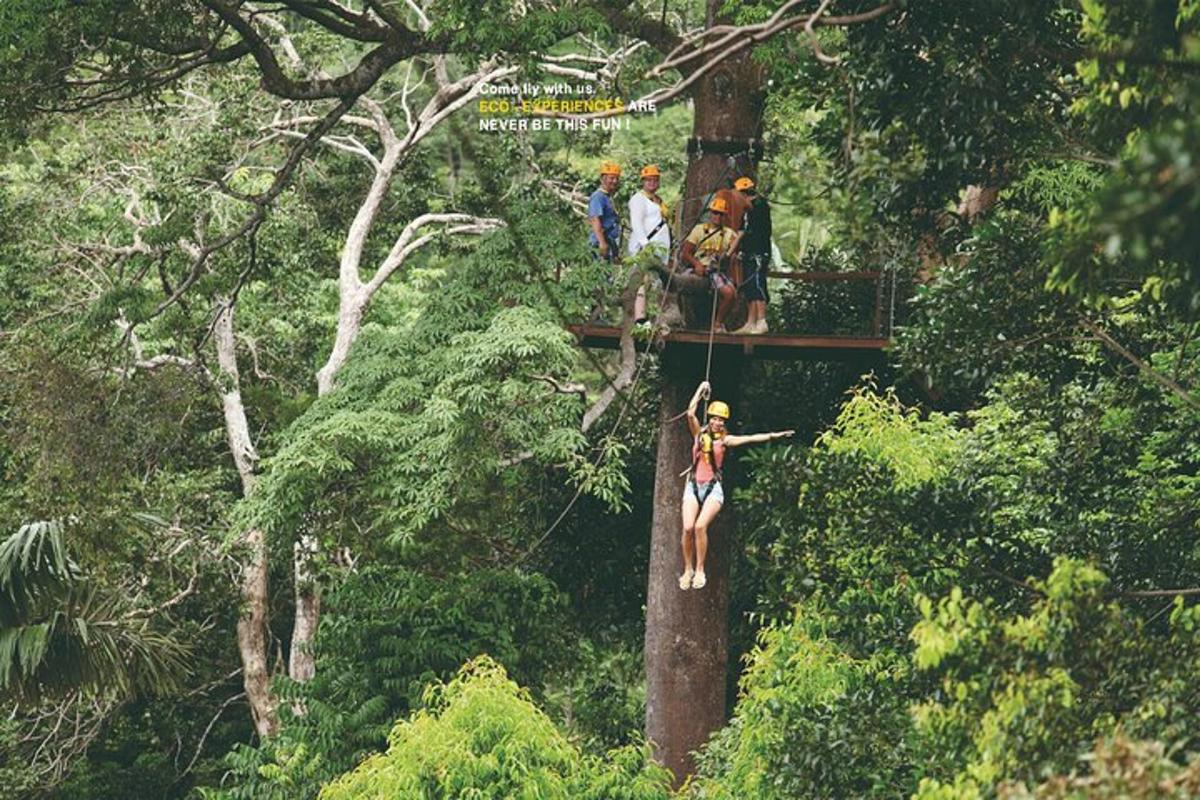 žena na zipline v lese