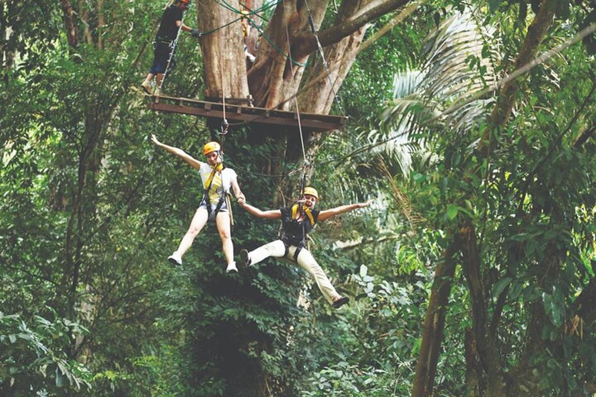 dua orang tergantung dari zip line di dalam hutan