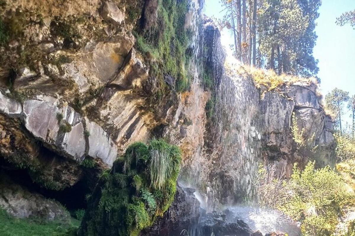 Fotografia da atração 5