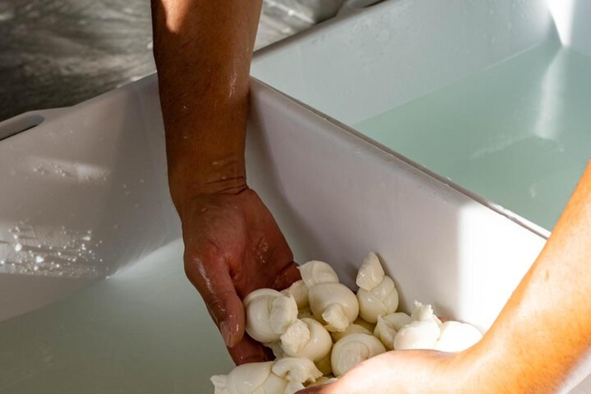 a person is cutting up mushrooms on a counter