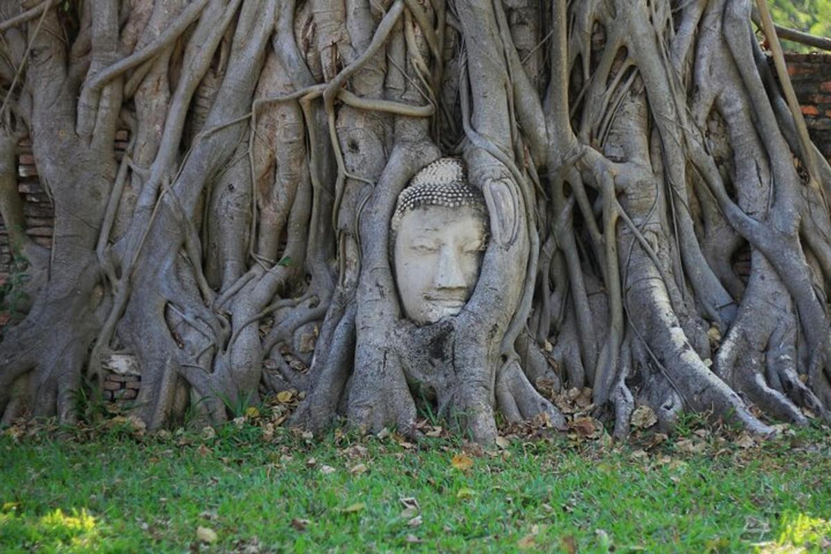 ภาพถ่ายสิ่งที่น่าสนใจภาพที่ 2
