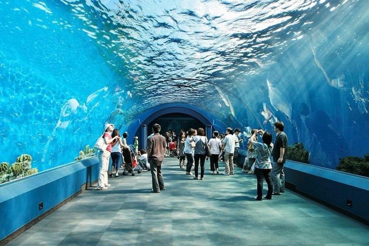 a group of people walking through a large aquarium