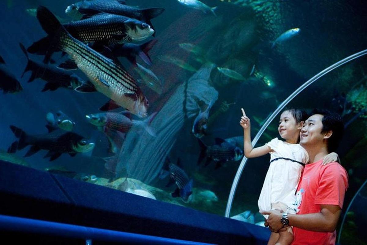 a woman and a child standing in front of an aquarium