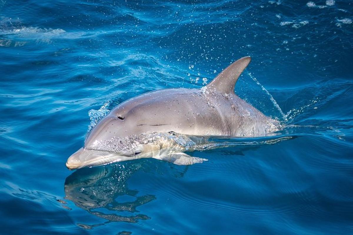 Lankytinos vietos ar pramogos nuotrauka numeris 7