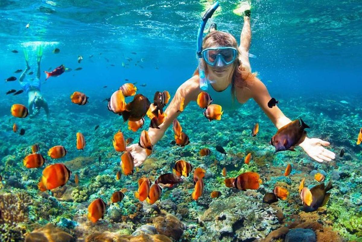 una donna nell'oceano che guarda i pesci
