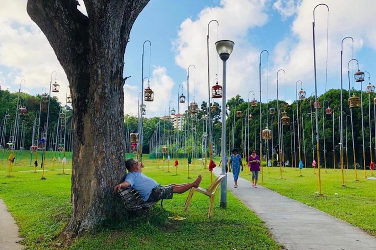 a man sitting on a chair under a tree in a park