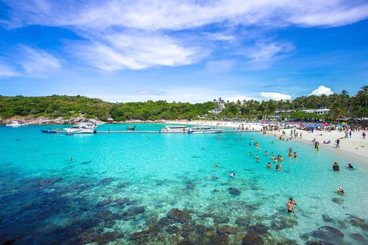 skupina ljudi v vodi na plaži