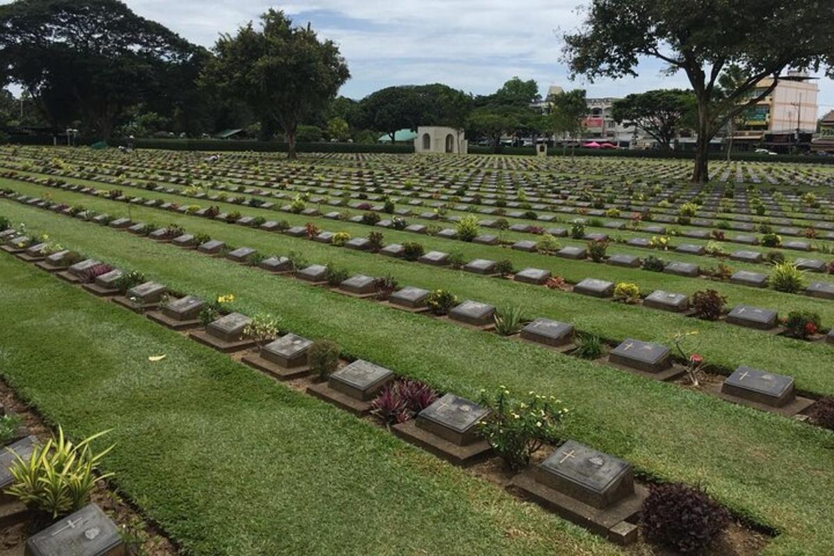 um grande cemitério com plantas na grama