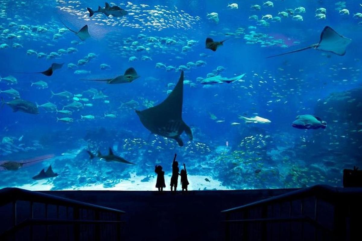 Attraction picture 2