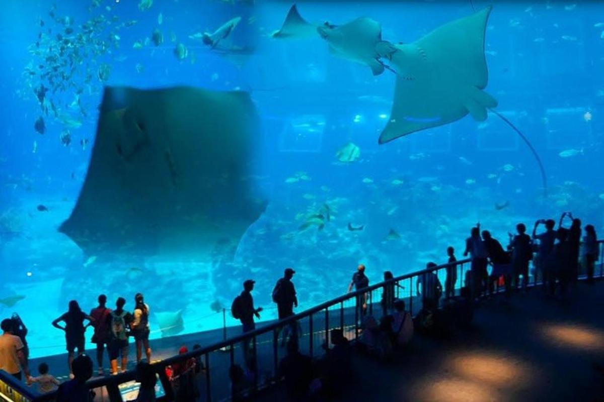 Photo de l’attraction numéro 6.