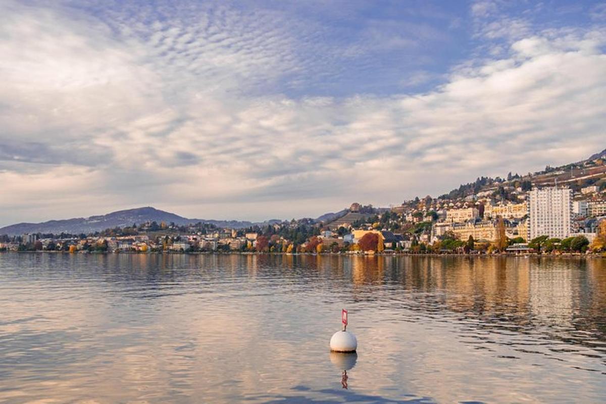 un cigno in un lago con una città sullo sfondo