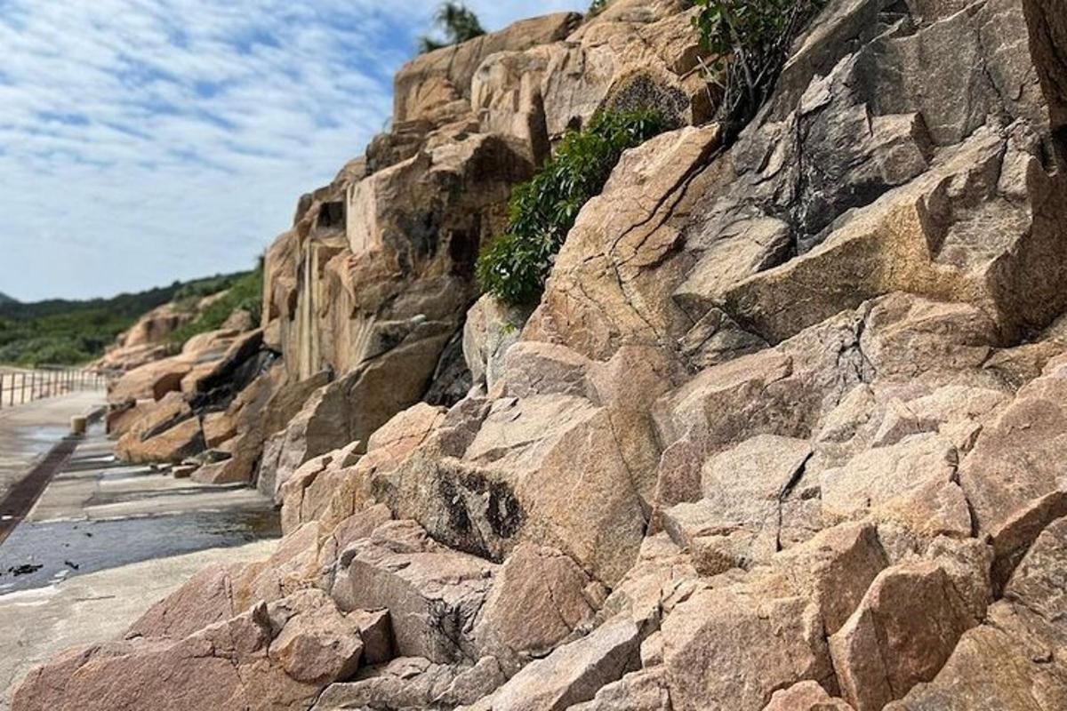 un turó rocós amb plantes al costat de l'oceà