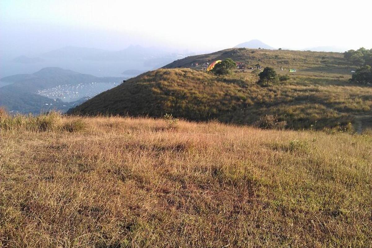 uma colina gramada com árvores no topo