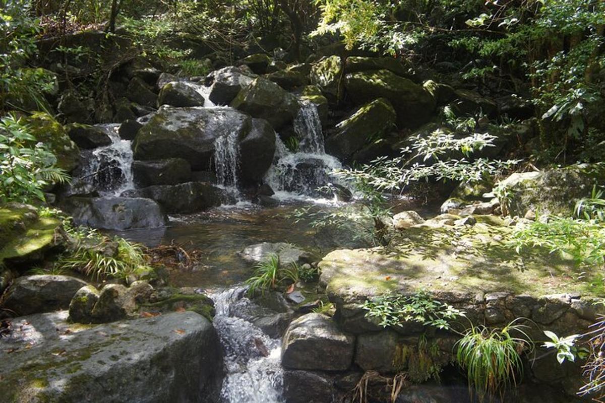 a waterfall in the middle of a forest with rocks