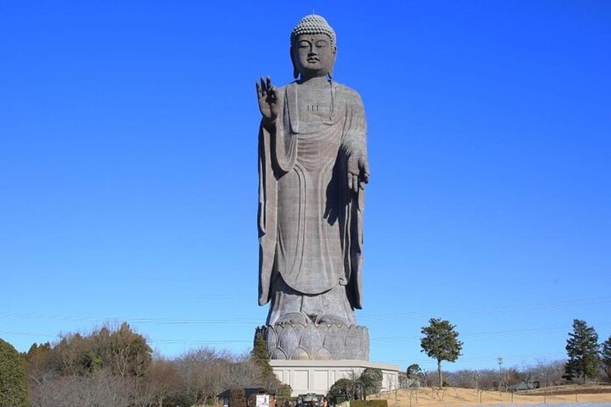 uma grande estátua de uma mulher em pé em um campo