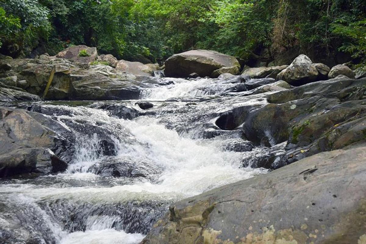 a stream of rushing water in a river with rocks