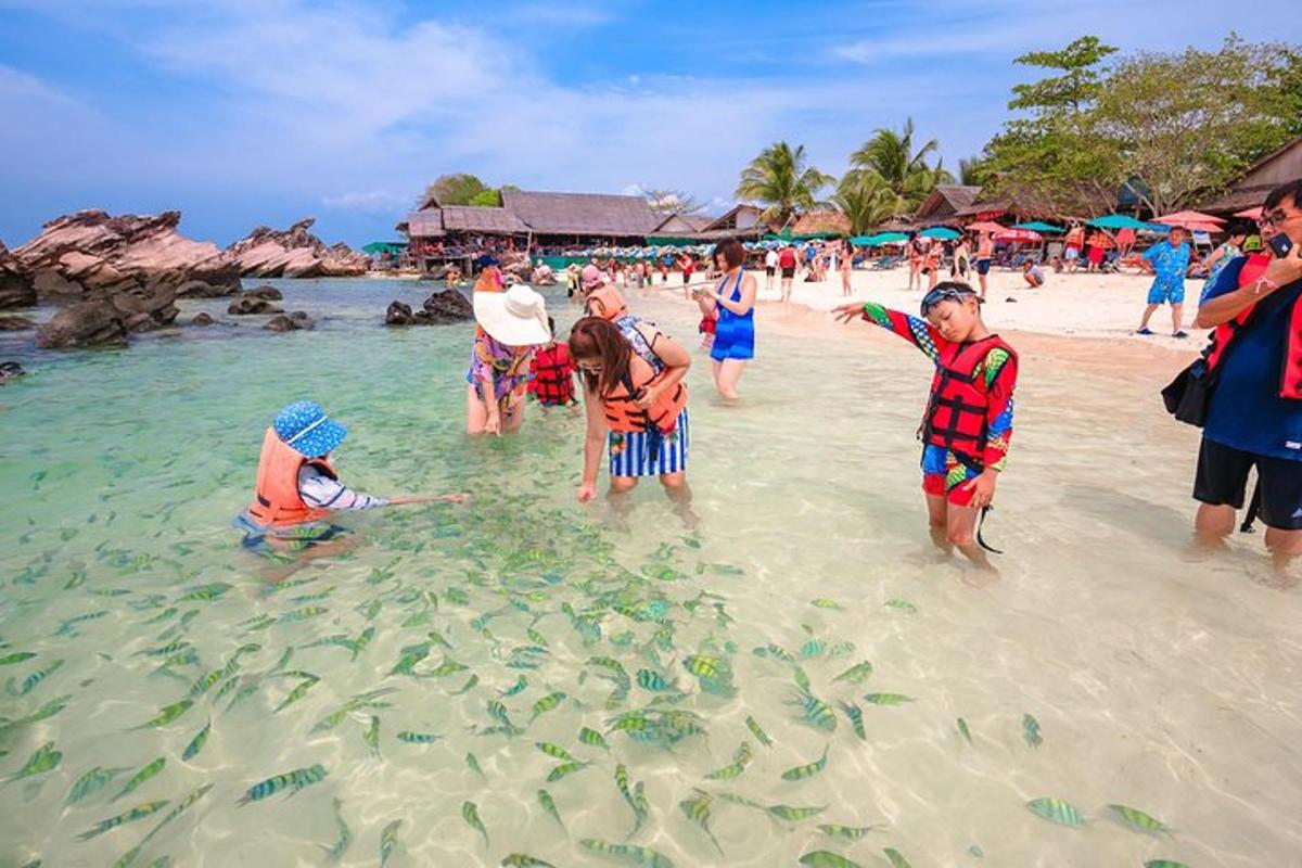 Un grupo de personas de pie en el agua en una playa.