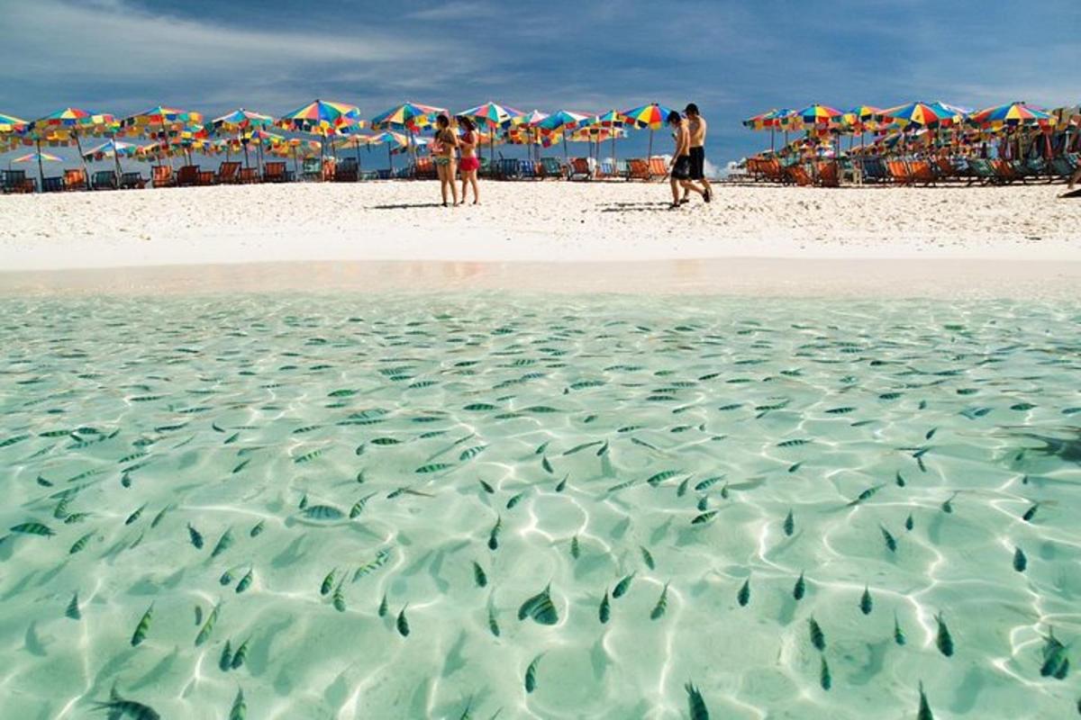Un grupo de personas de pie en una playa con sombrillas.