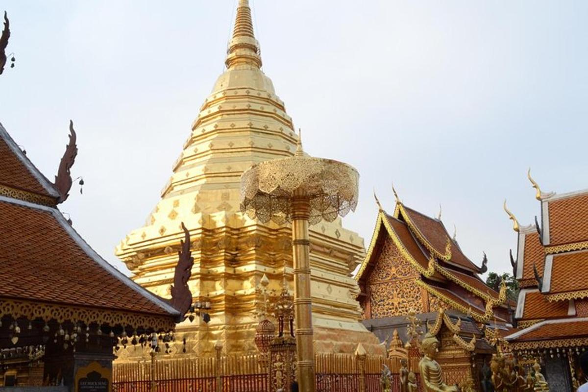 arka planda bir pagoda bulunan büyük bir bina