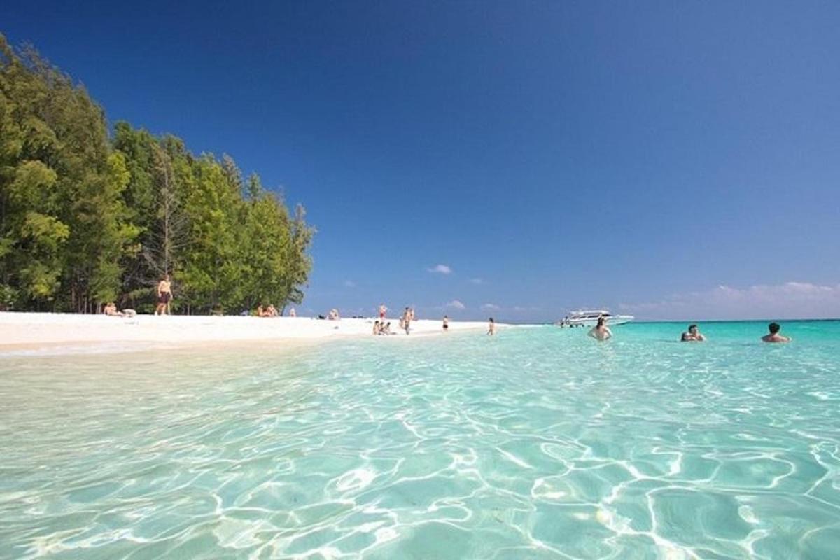 skupina ljudi v vodi na plaži